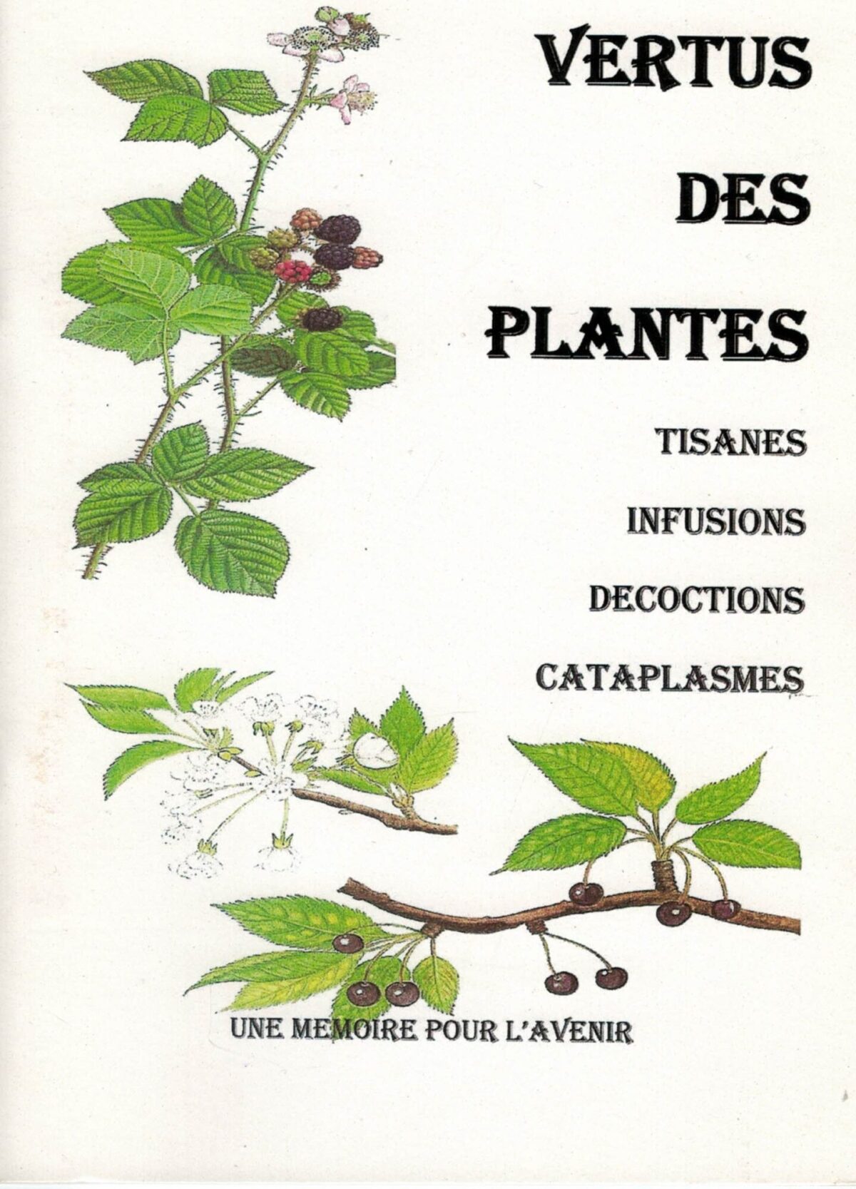 Vertus des plantes