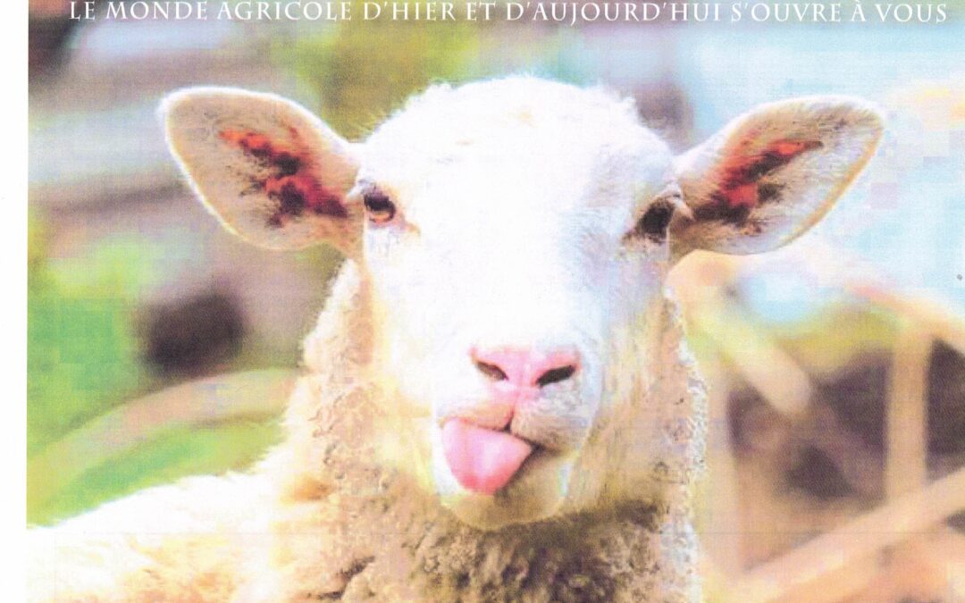 – Fête de la ruralité – Cusset